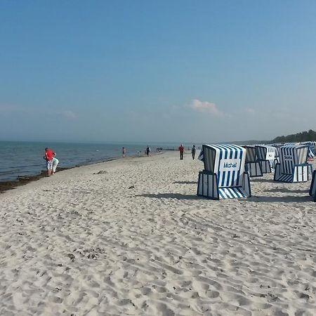 Loui´s FeWo Wiek Wiek auf Rügen Zewnętrze zdjęcie
